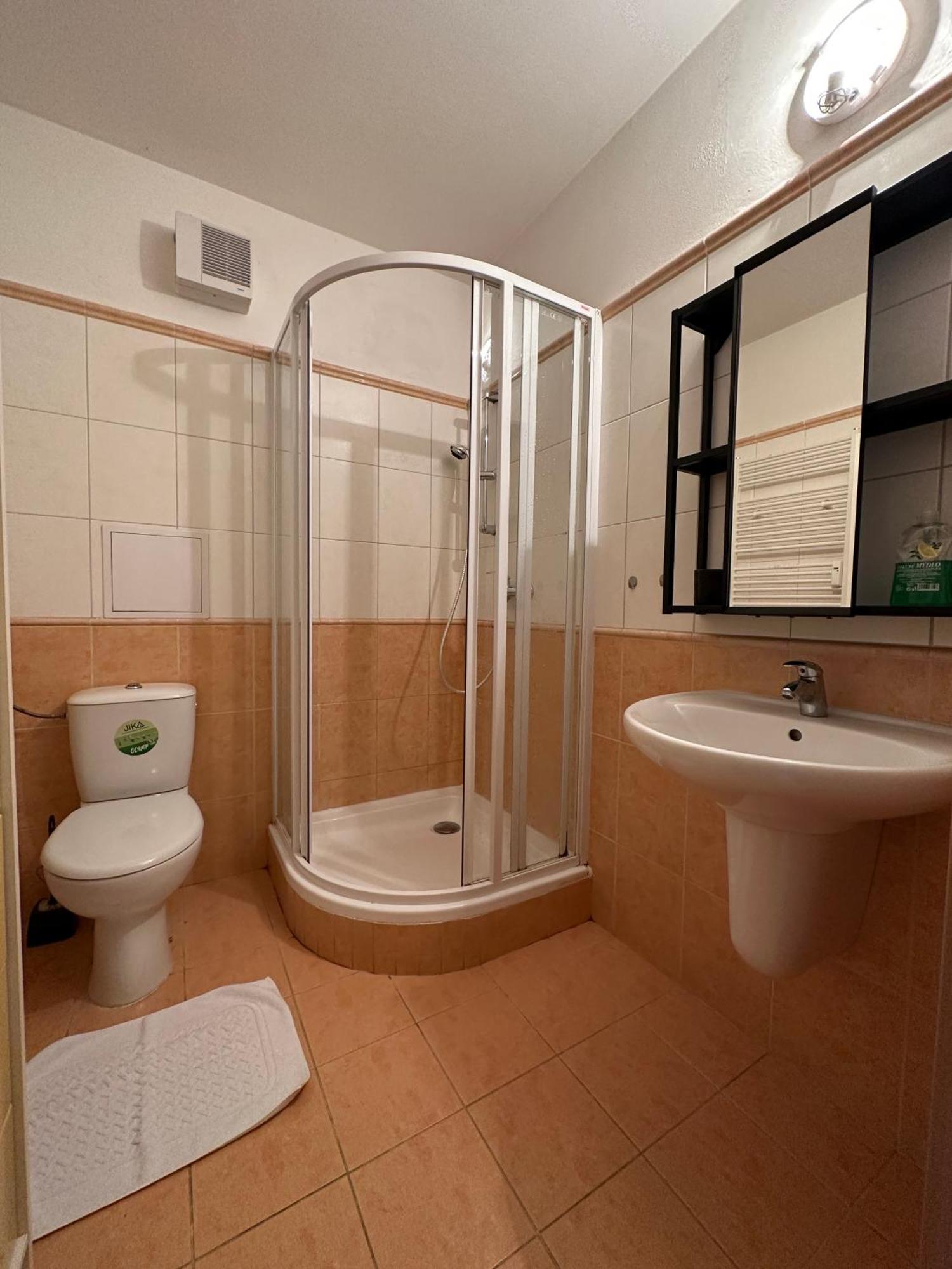 Mila Eterna Ii Apartment Rokytnice nad Jizerou